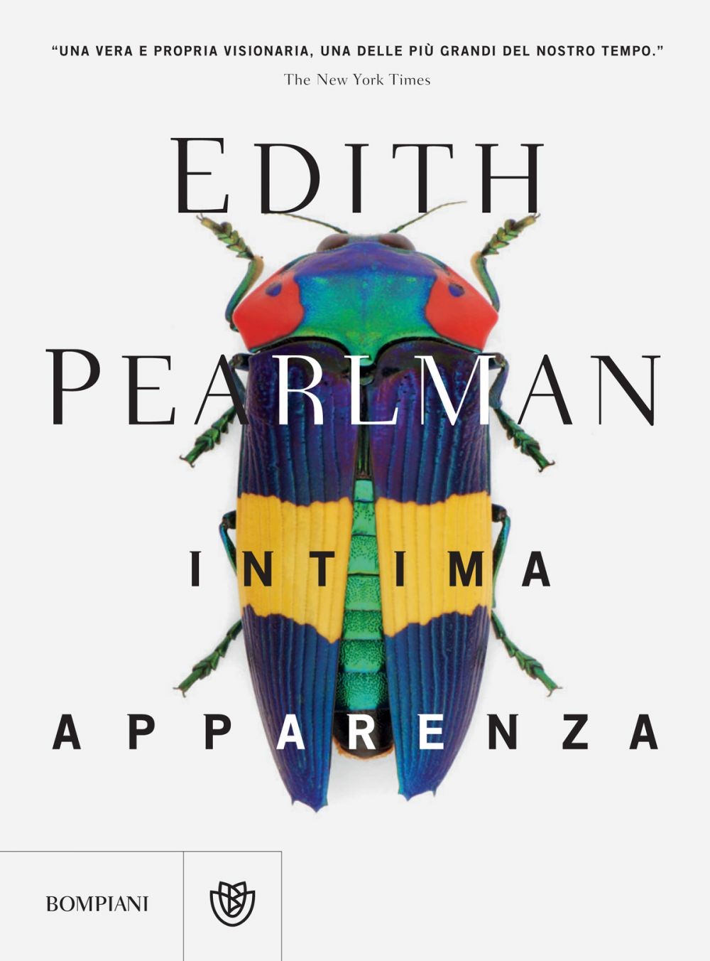 Intima apparenza Edith Pearlman Bompiani