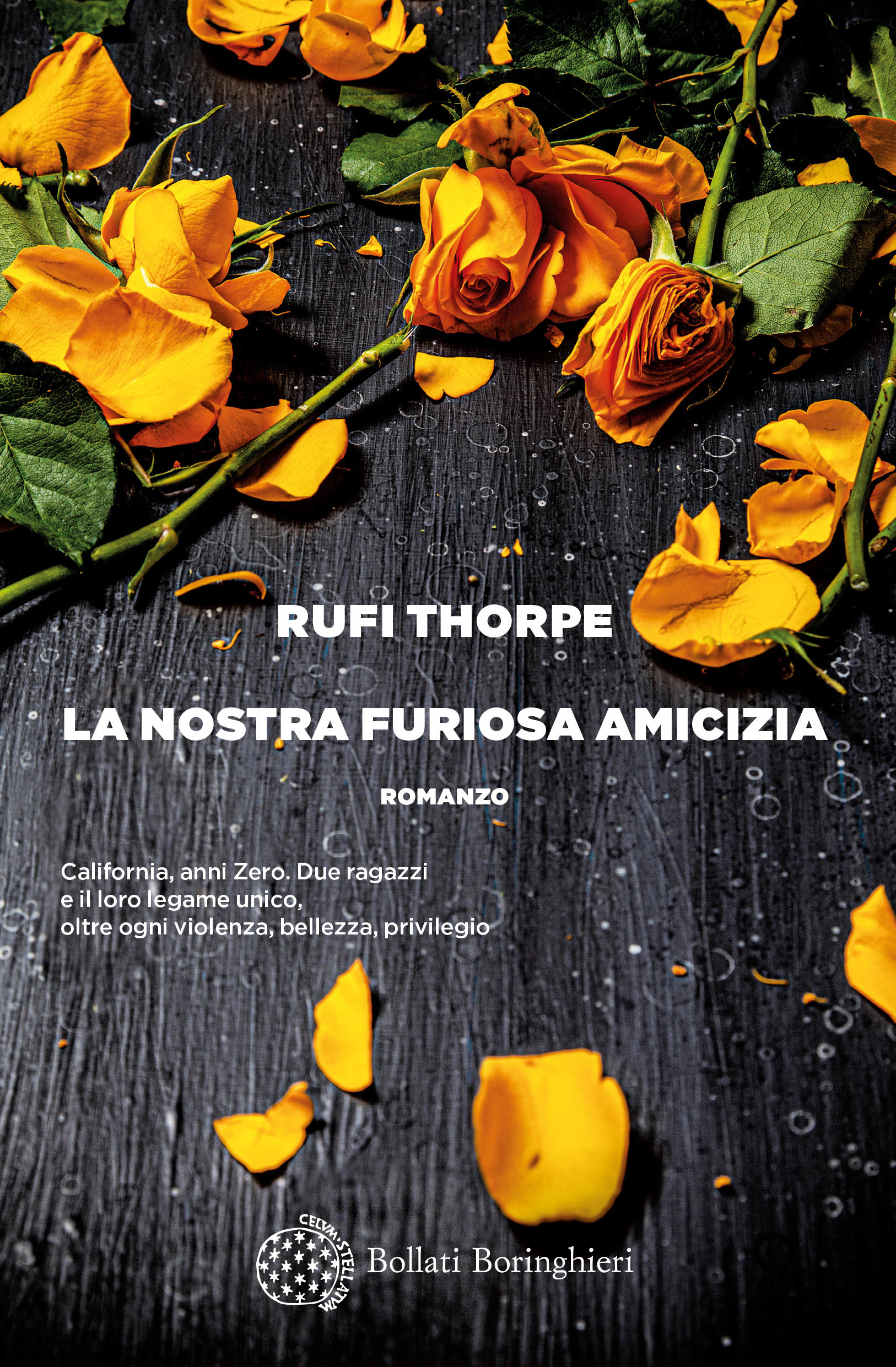 La nostra furiosa amicizia di Rufi Thorpe, Traduzione di Claudia Durastanti Bollati Boringhieri