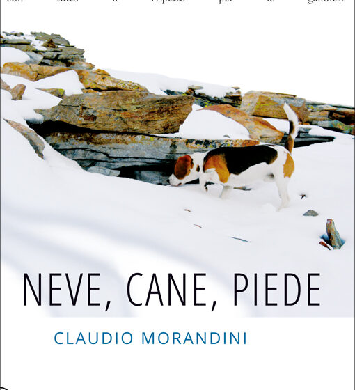 Neve, cane, piede – Claudio Morandini