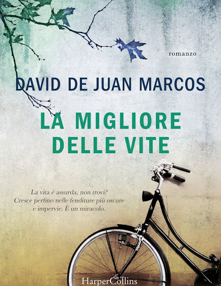 La migliore delle vite – David De Juan Marcos