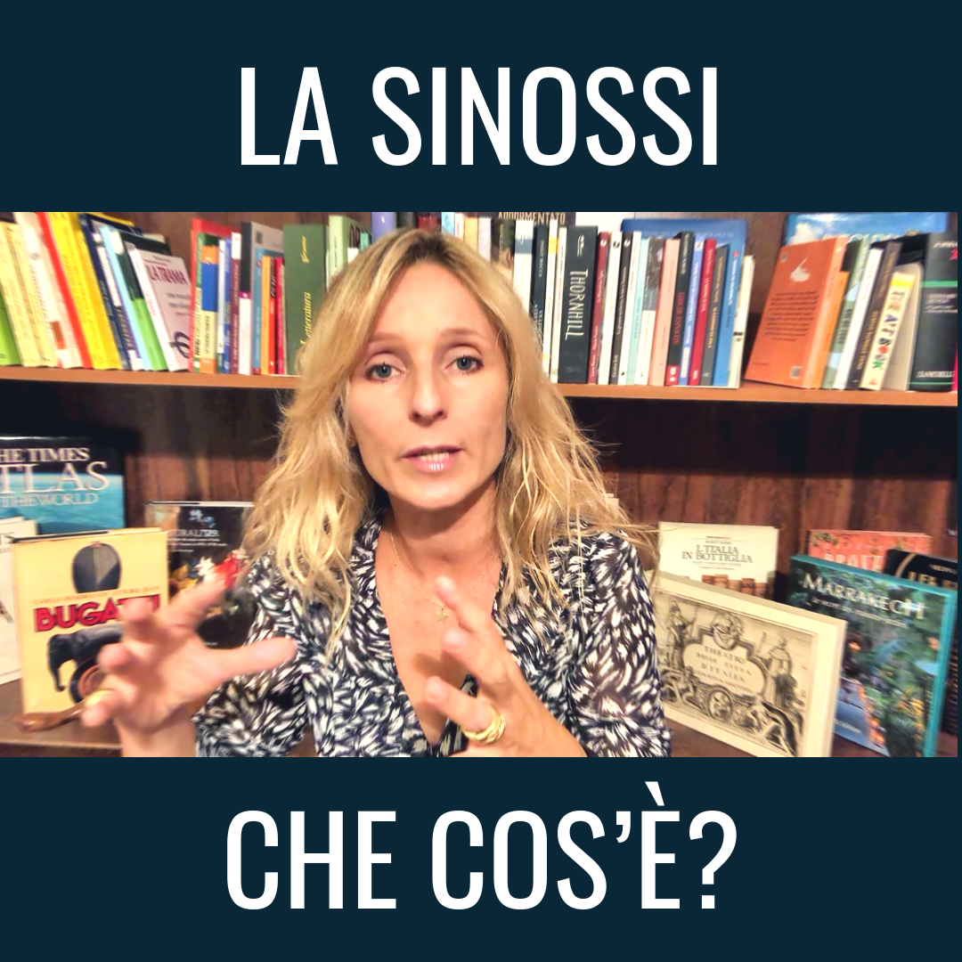 La sinossi che cos'è