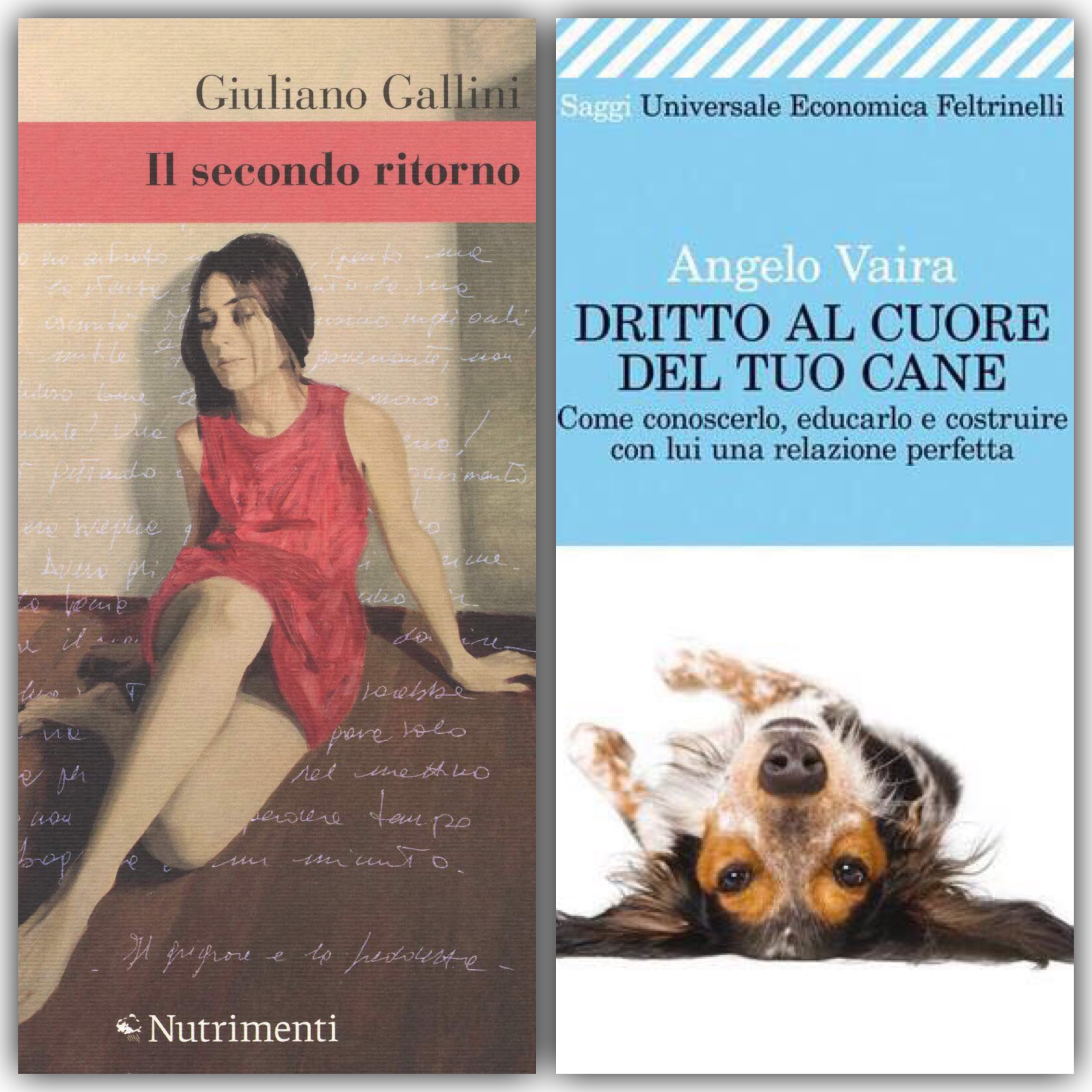 Libri a Colacione 8 dicembre 2018
